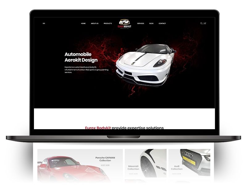 EuroBodyKit - Ascentso.com Portfolio